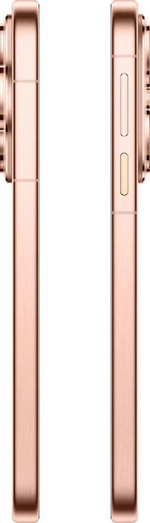6.6" Смартфон Huawei Pura 80 12/256Gb,  HED-LX9,  NFC,  OLED,  120Гц,  5170мAч,  золотистый