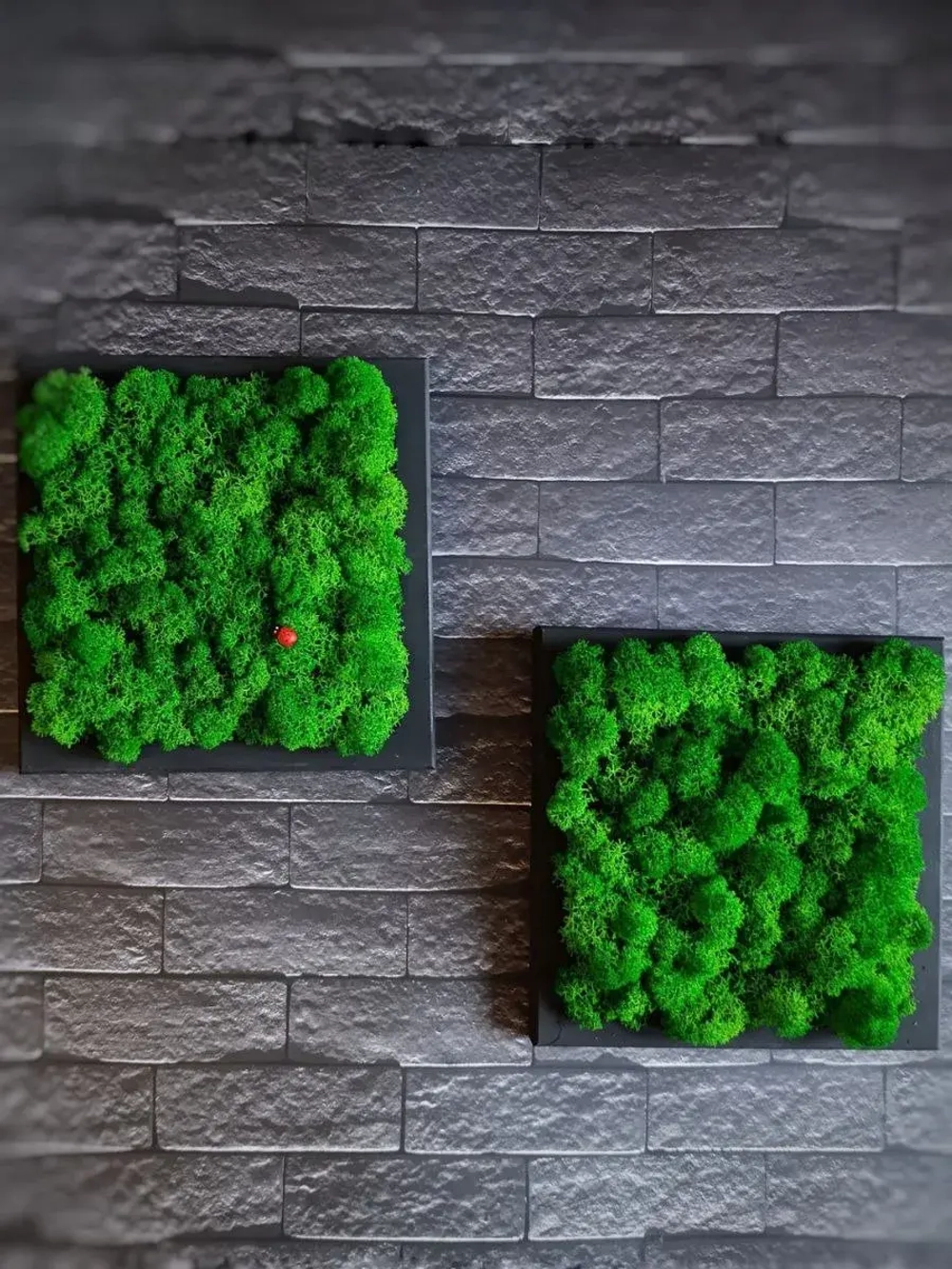 Панно из мха набор 3 шт.