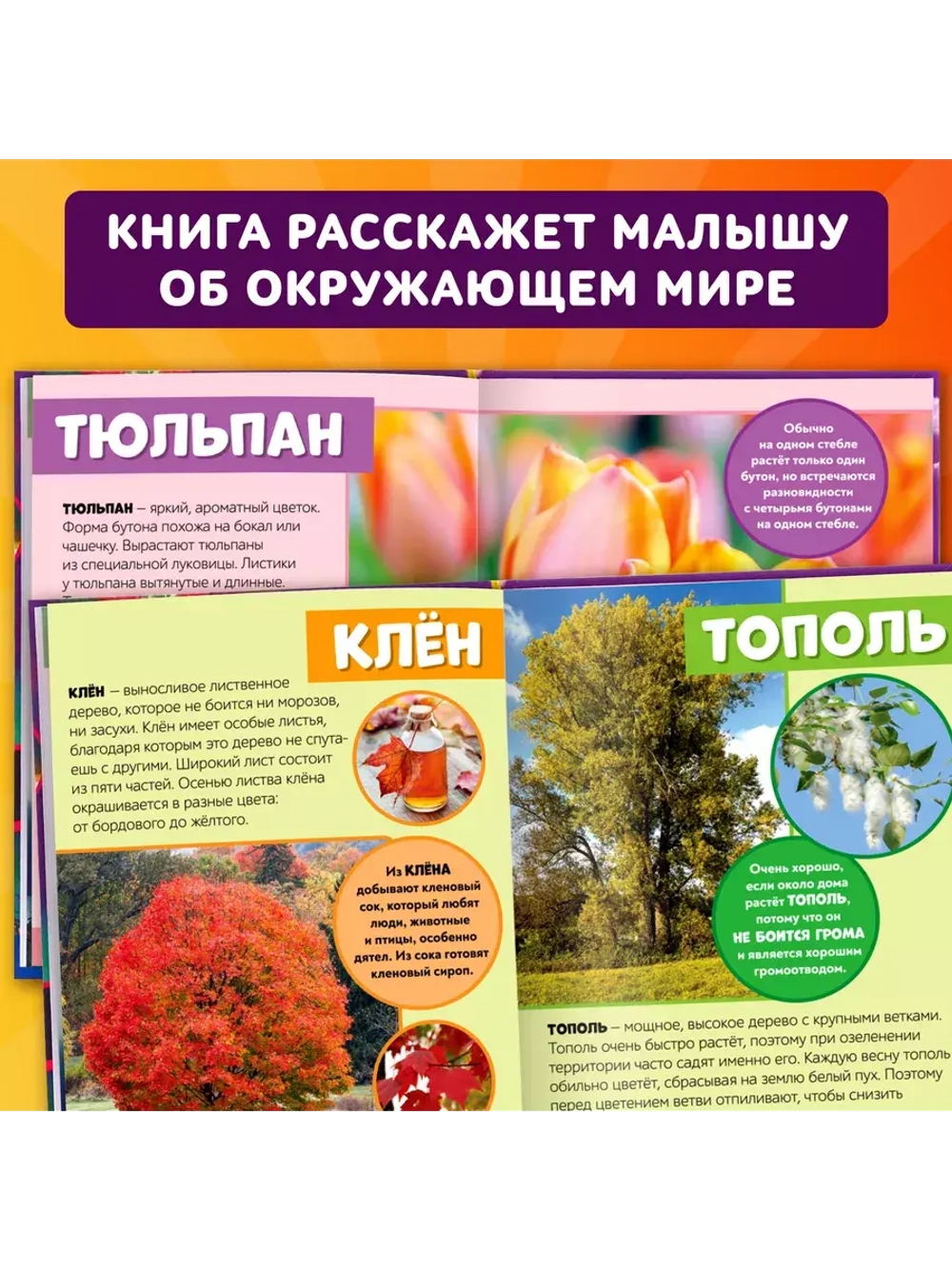 Фотоэнциклопедия для детей Мир вокруг нас