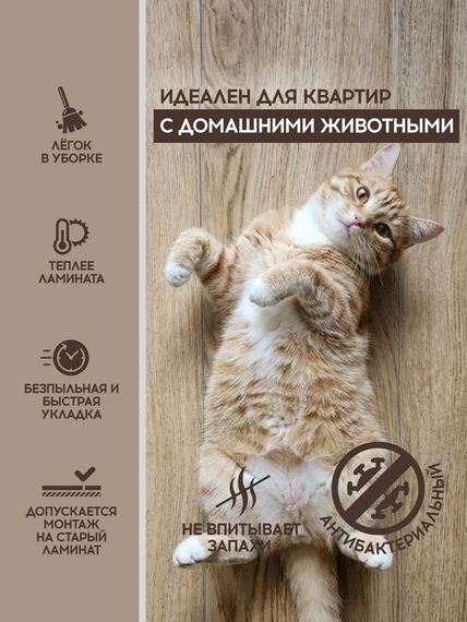 SPC ламинат I-Floors Chamfer 4v - Дуб Карельский