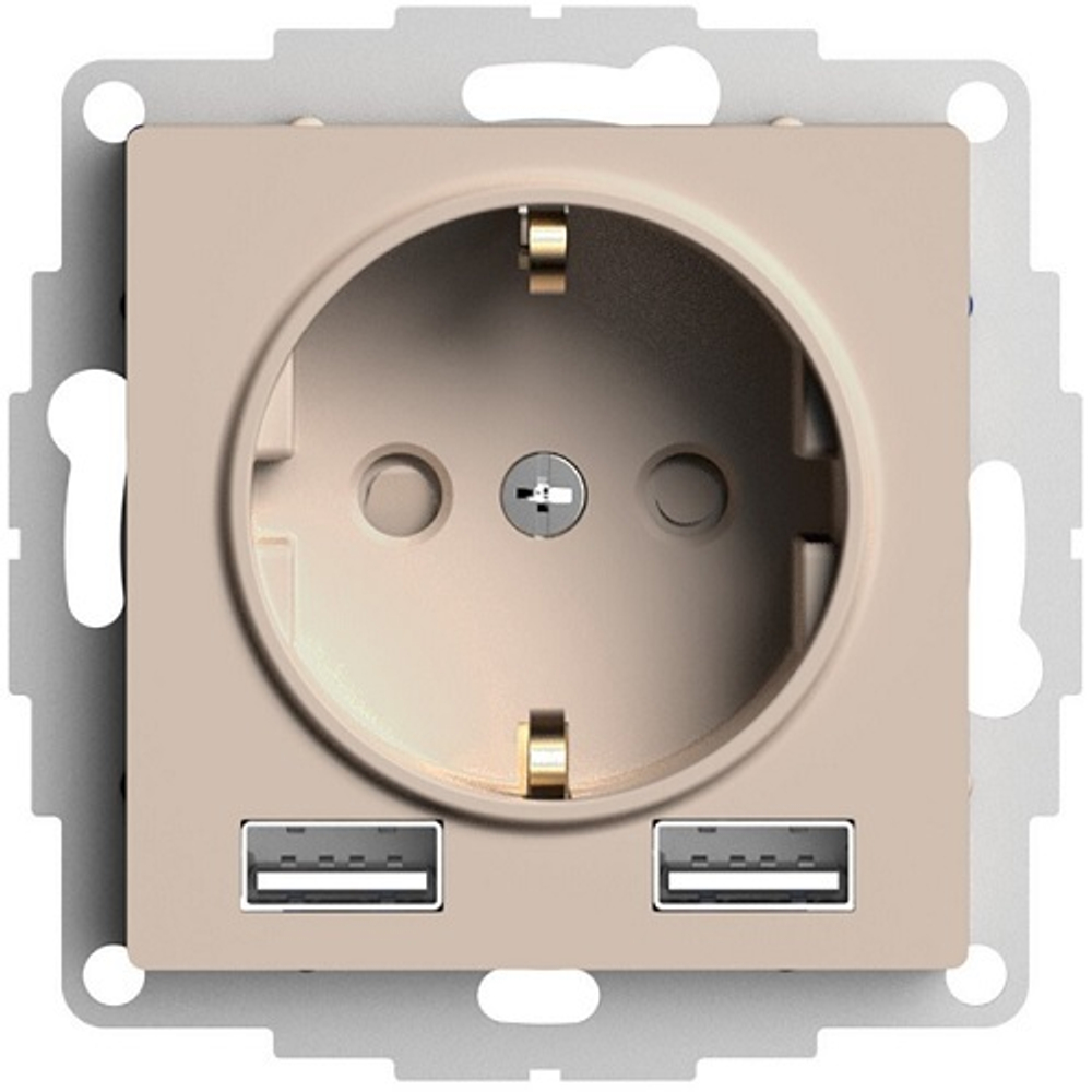 Розетка с заземлением с 2 USB  Systeme Electric ATN001230