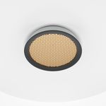 Подвесной светильник Maytoni MOD041PL-L15W3K1