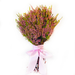 Букет сухоцветов  из Вереска натурального, 33х25 см