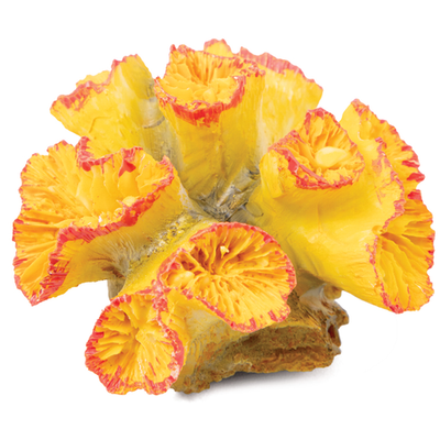 Коралл искусственный "кауластрея", m, желто-красный, 90*85*50мм, laguna