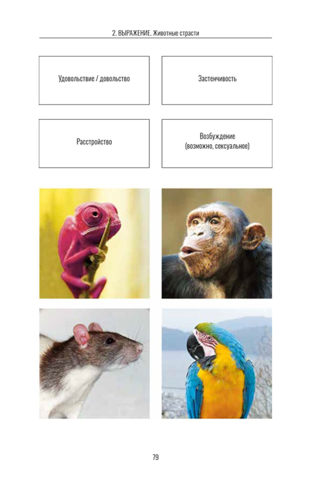 Книга эмоций (электронная книга)