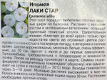 Ипомея Лаки стар 3 шт СМЦ-516