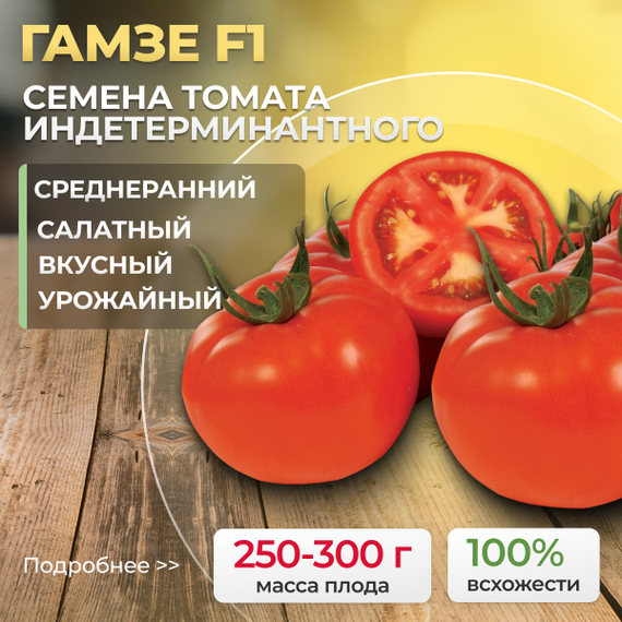 ГАМЗЕ F1 семена томата Nunhems культура – фото 1