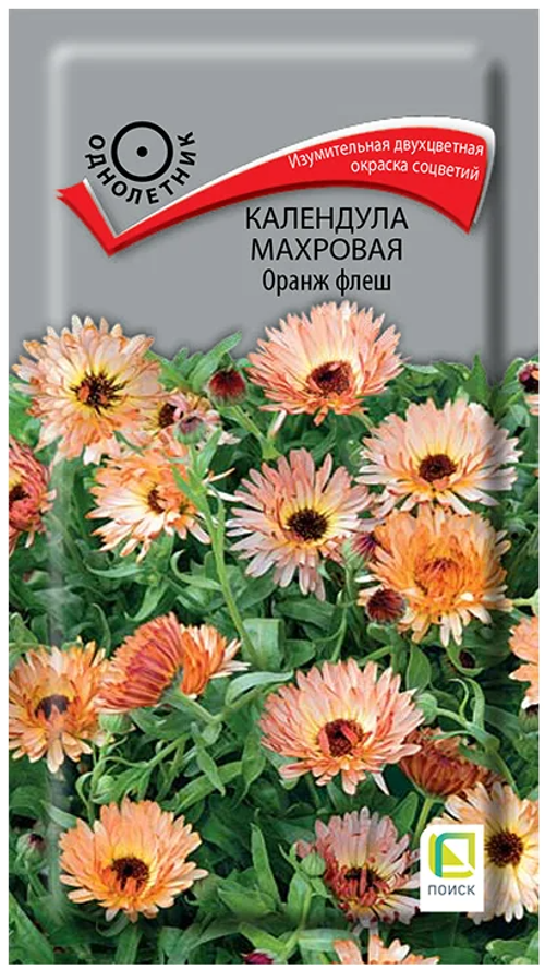Семена цветов Календула махровая Оранж флеш (цв 0,1гр)