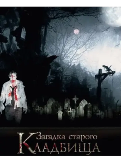 Загадка старого кладбища (2008) (DVD-R)