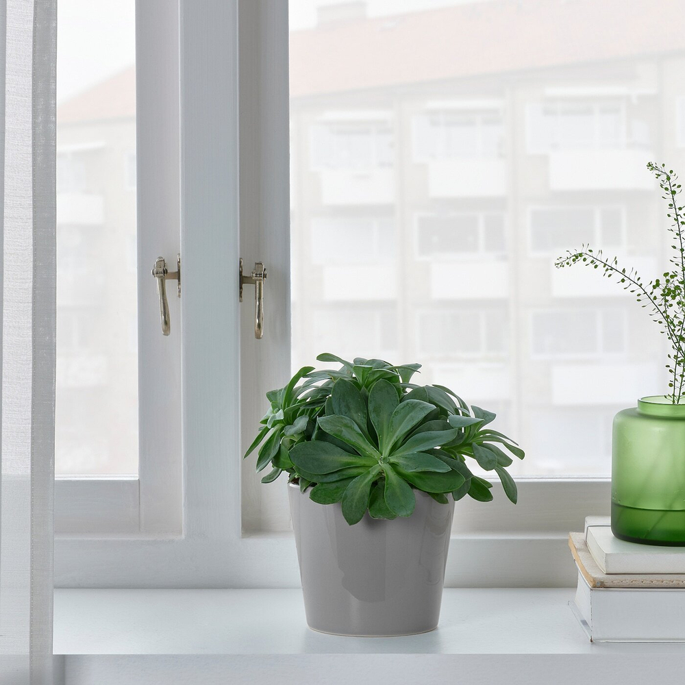 IKEA SKOGSVINBÄR  (ИКЕА СКОГСВИНБÄР)  -  Крышка для цветочного горшка, серая, 9 см