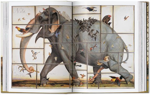 Walton Ford. 40th Ed. (45th Edition) (Multilingual Edition)