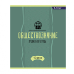 Тетрадь предметная "Обществознание" А5 48л., со справочным материалом, скрепка, мелованный картон (стандарт), блок офсет, Alingar "Простое решение"