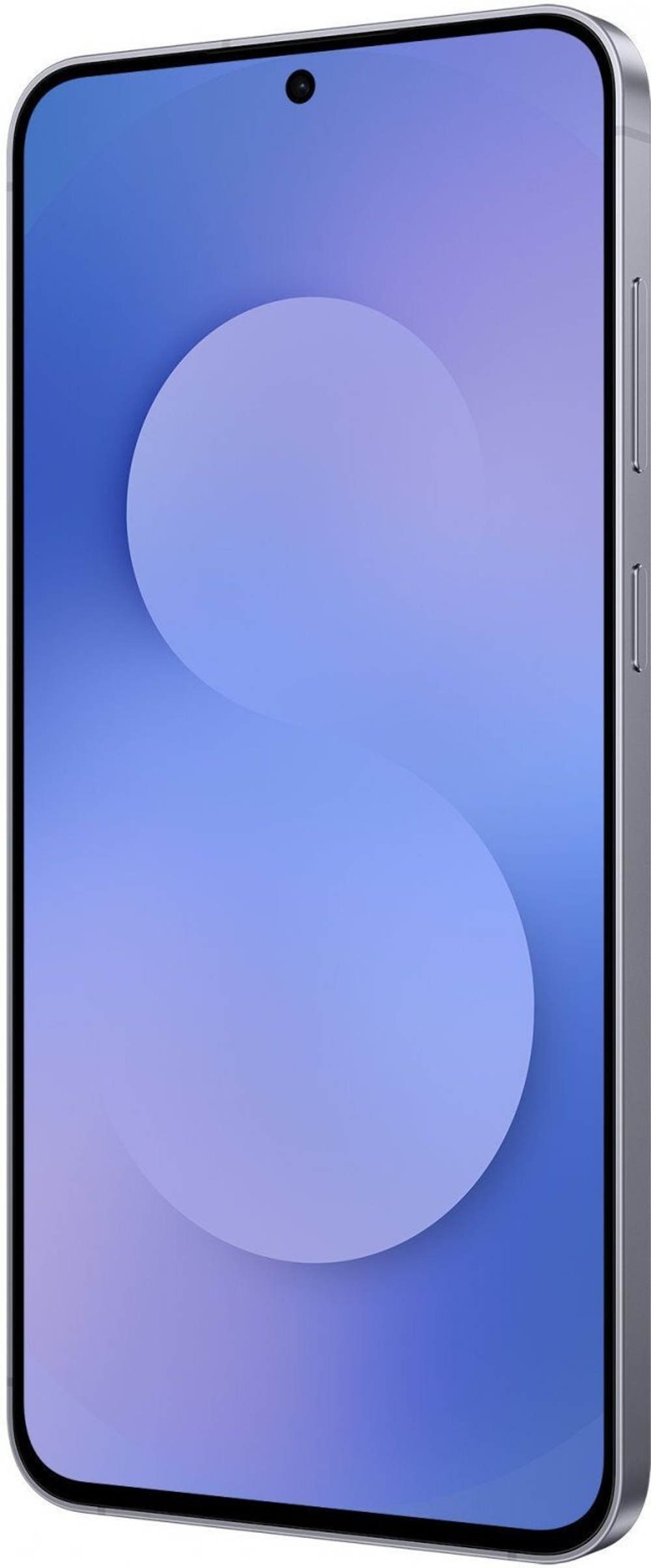 Samsung Galaxy S25 FE 8/256Gb Global Navy