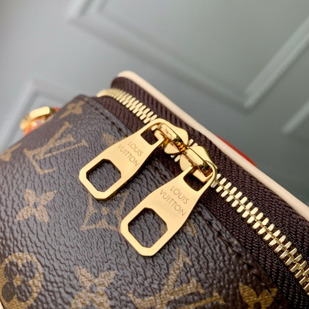 Louis Vuitton Micro Vanity Case