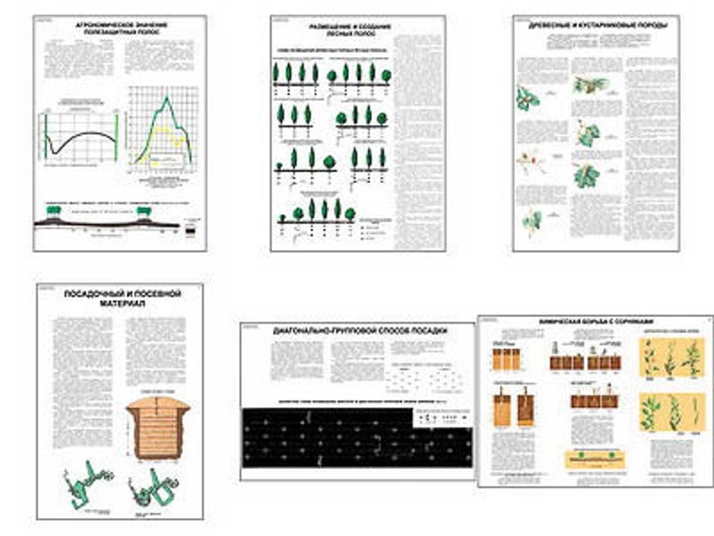 Плакаты ПРОФТЕХ &quot;Полезащитные лесные полосы&quot; (6 пл, винил, 70х100)