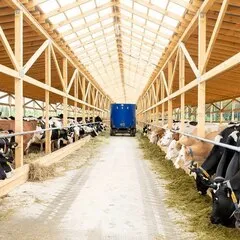 ОПТ Масло сливочное органик 82,5% / 5 кг