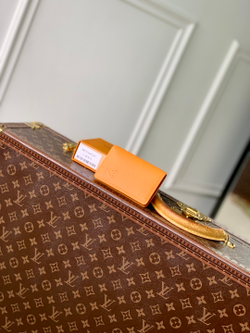 Louis Vuitton Pocket Organizer