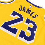 Баскетбольная детская джерси Nike Boys Icon Swingman Jersey Los Angeles Lakers Lebron James