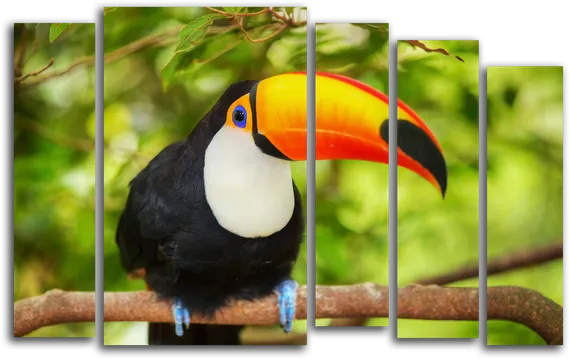 Модульная картина "Яркая птица"