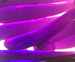 Мягкая приманка Relax Bass 3" 90мм 4.9г BAS3 -