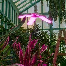 LED-P65-32W-SPSB-E27-FR-P4 PLP32WH Лампа светодиодная для растений. Форма P лепестковая. матовая. Спектр для рассады и цветения. Картон. ТМ Uniel