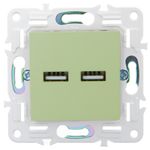 SKANDY Розетка USB A+A 3,1А SK-R15G мятный IEK