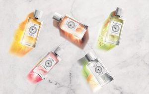 L'Occitane en Provence Rose Safran