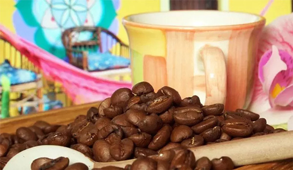 Кофе в зернах Santa Fe Бразилия Эсмеральда Арабика 1кг