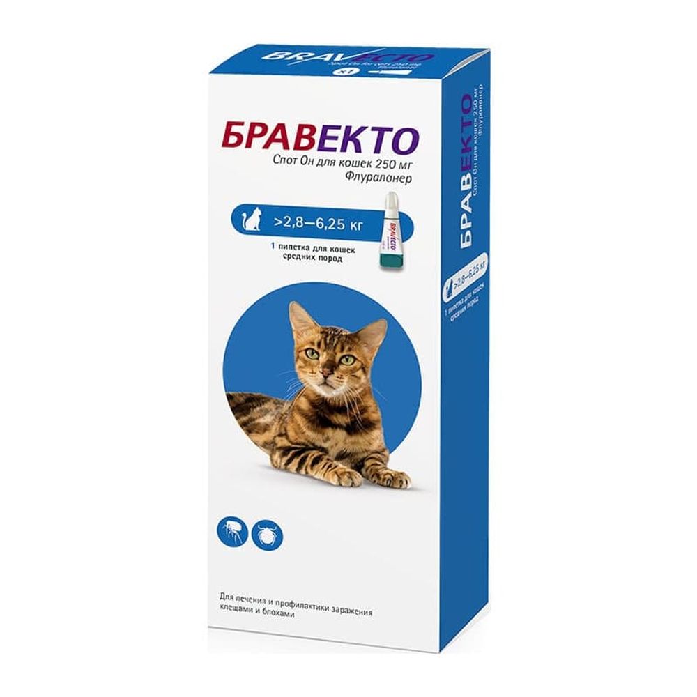 Intervet Бравекто Спот Он для кошек 250 мг (2,8 - 6,25 кг)