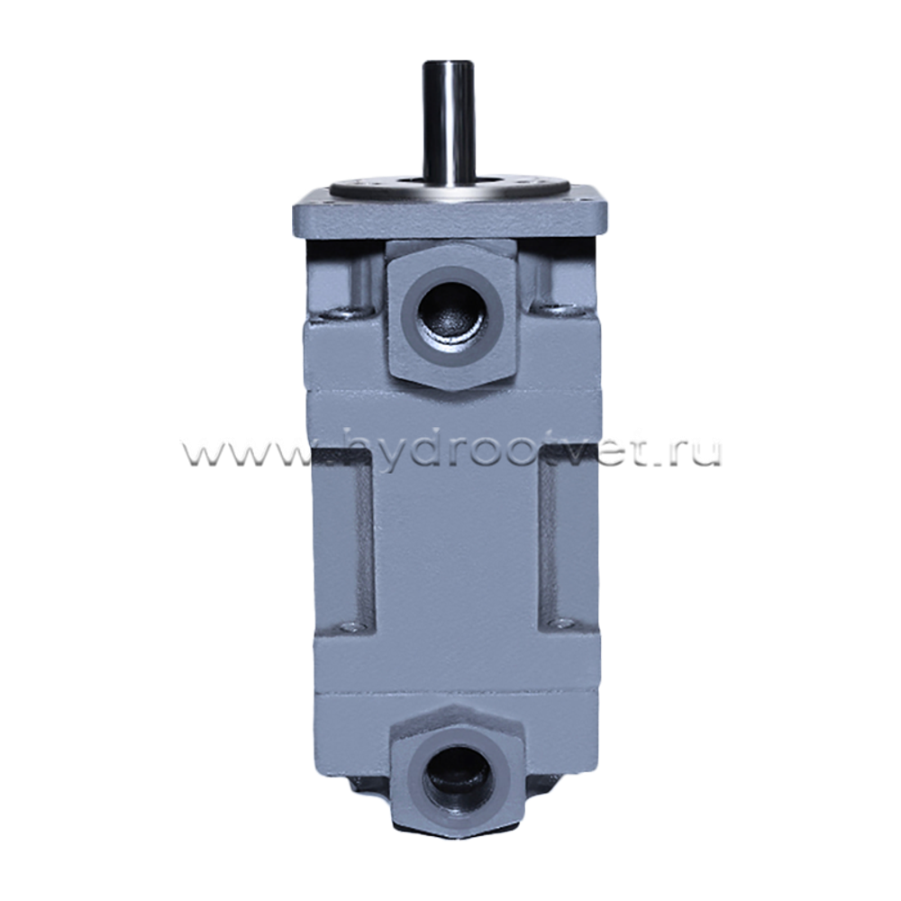 НПл25-25/6,3 - Пластинчатый нерегулируемый сдвоенный насос с рабочим объемом 25+25 см3 (YB1-25/25U)