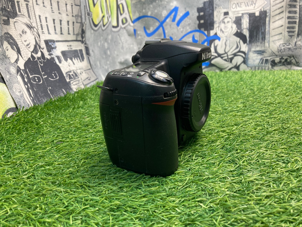 Nikon D80