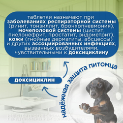 Антибиотик для кошек и собак противомикробные жевательные таблетки OKVET Докситрон 20мг, 20таб