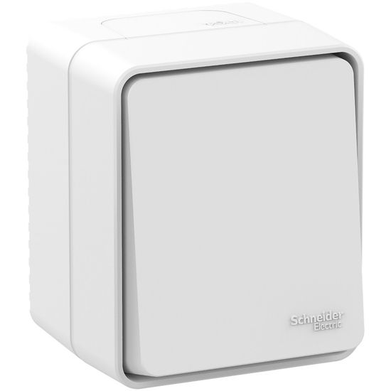 Переключатель проходной 1-кл. ОП AtlasDesign PROFI IP54 10AX бел. SE ATN540161