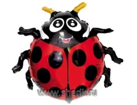 Ф ФИГУРА/9 Божья коровка(FM)