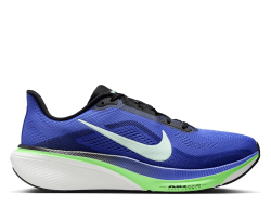 Мужские беговые кроссовки Nike Pegasus 42 M сине-зеленые