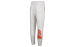 Штаны Jordan As M J Flt Mvp Hbr Flc Pant 2 Logo, DV7597-030