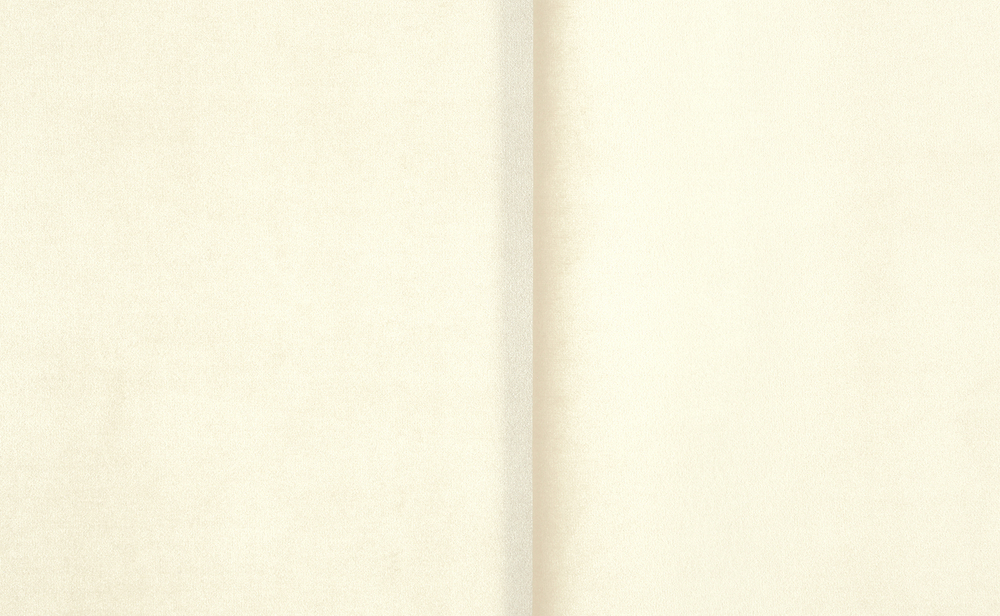 Велюр Нью Йорк 02