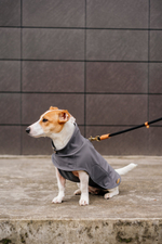 Попона "Пони-попони" темно-серая