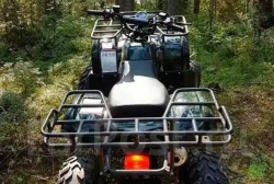 Квадроцикл Wels Thunder 200