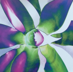 Depeche Mode / Exciter | The 12" Singles (Limited Edition)(Box Set)(8x12" Vinyl Single)