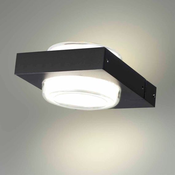Уличный настенный светодиодный светильник Odeon Light Nature Vart 6654/6WL