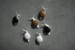 Набор магнитов snail, 6 шт.