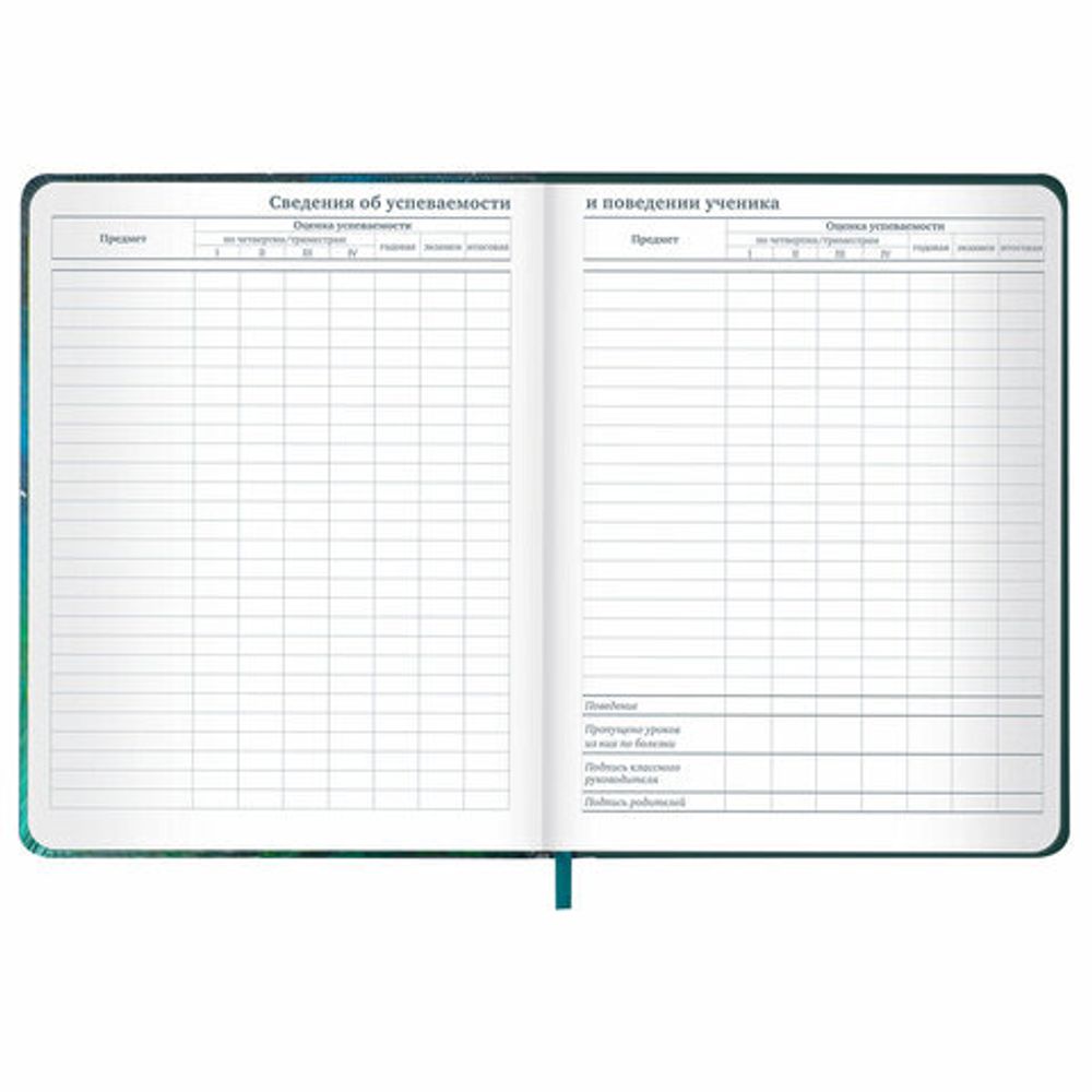 Дневник 1-11 класс 48 л., кожзам (твердая с поролоном), печать, резинка, конверт, BRAUBERG, "Мечты", 106949