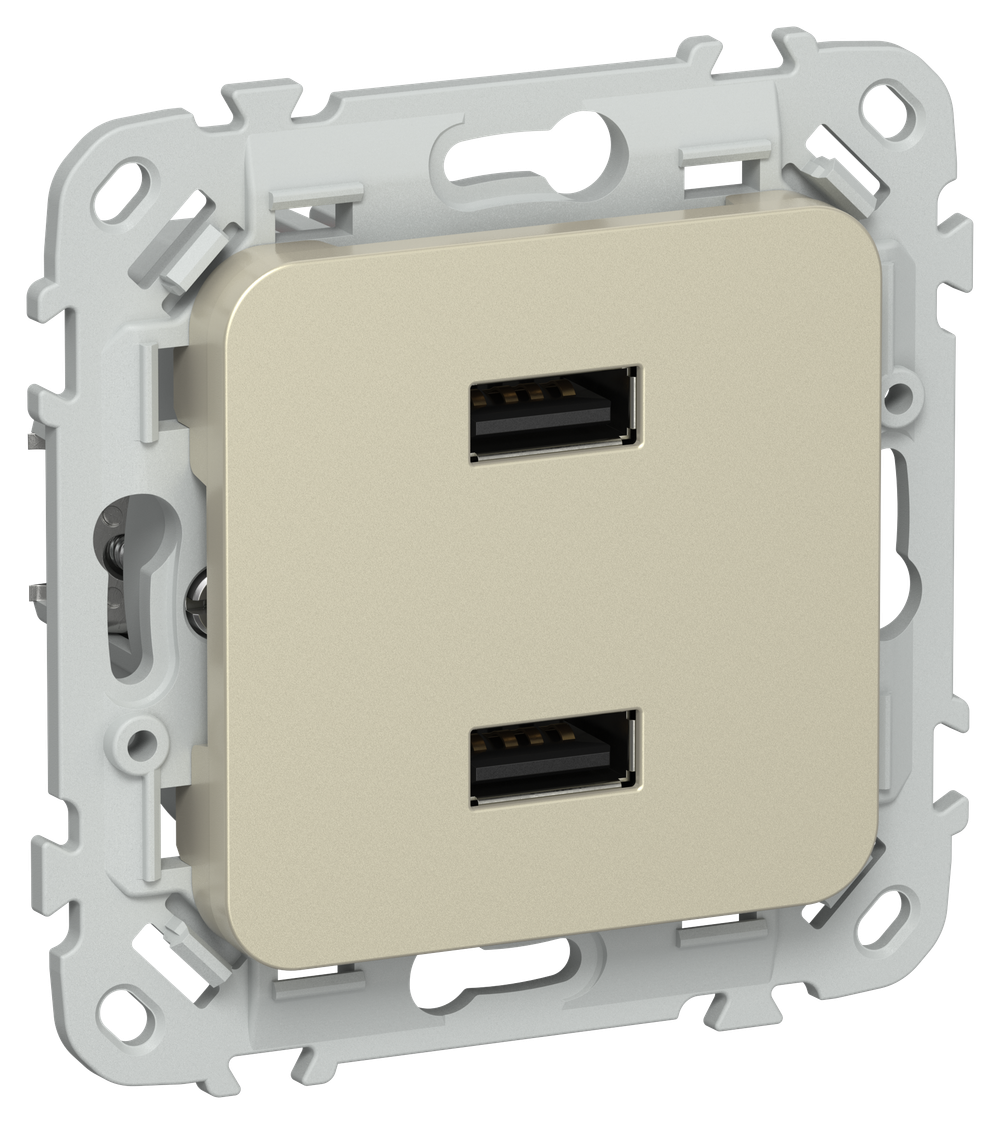 FLITE Розетка USB A+A 3,1А РЮ-2-ФлШ шампань IEK