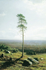 Лексикон русской лирики