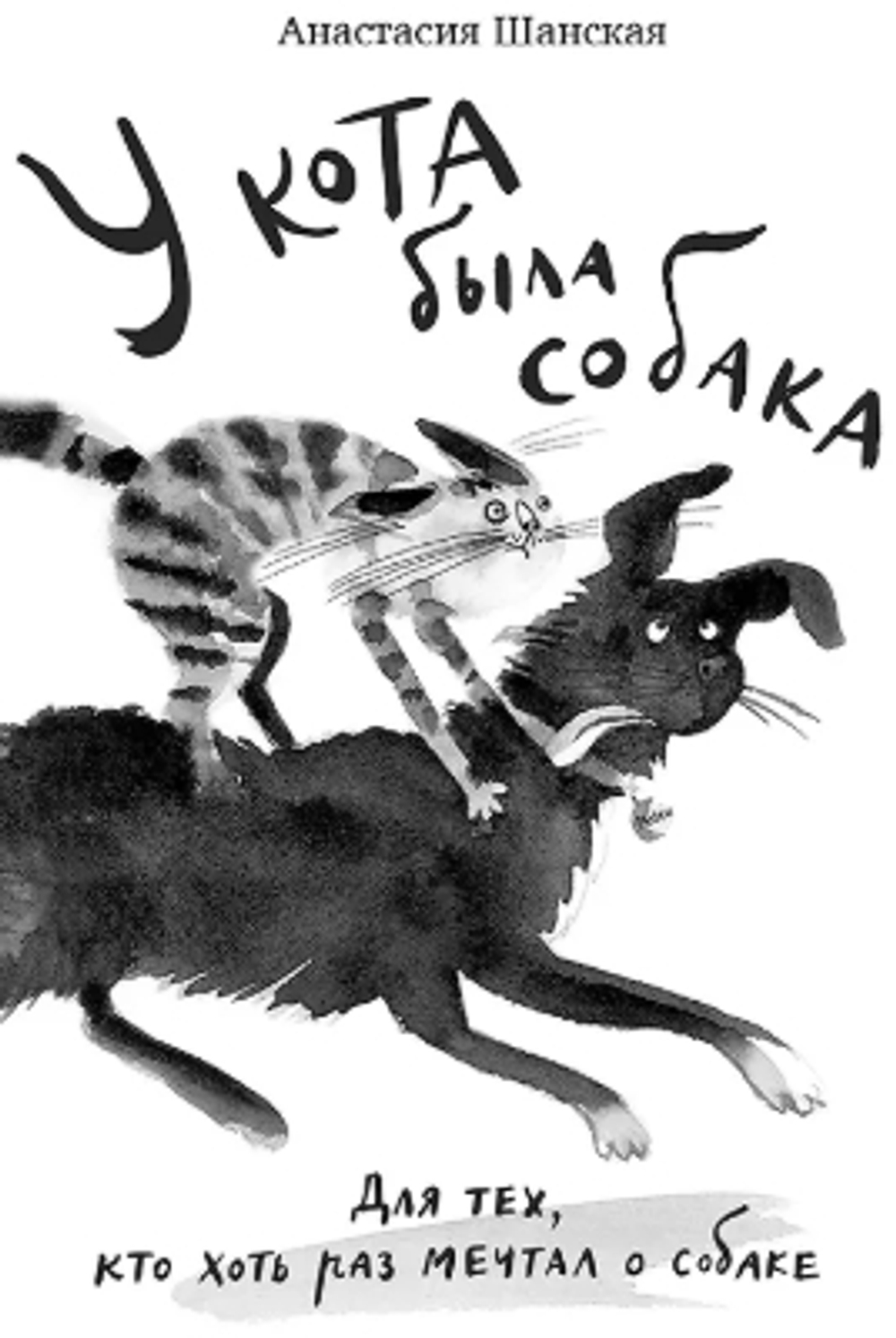 У кота была собака