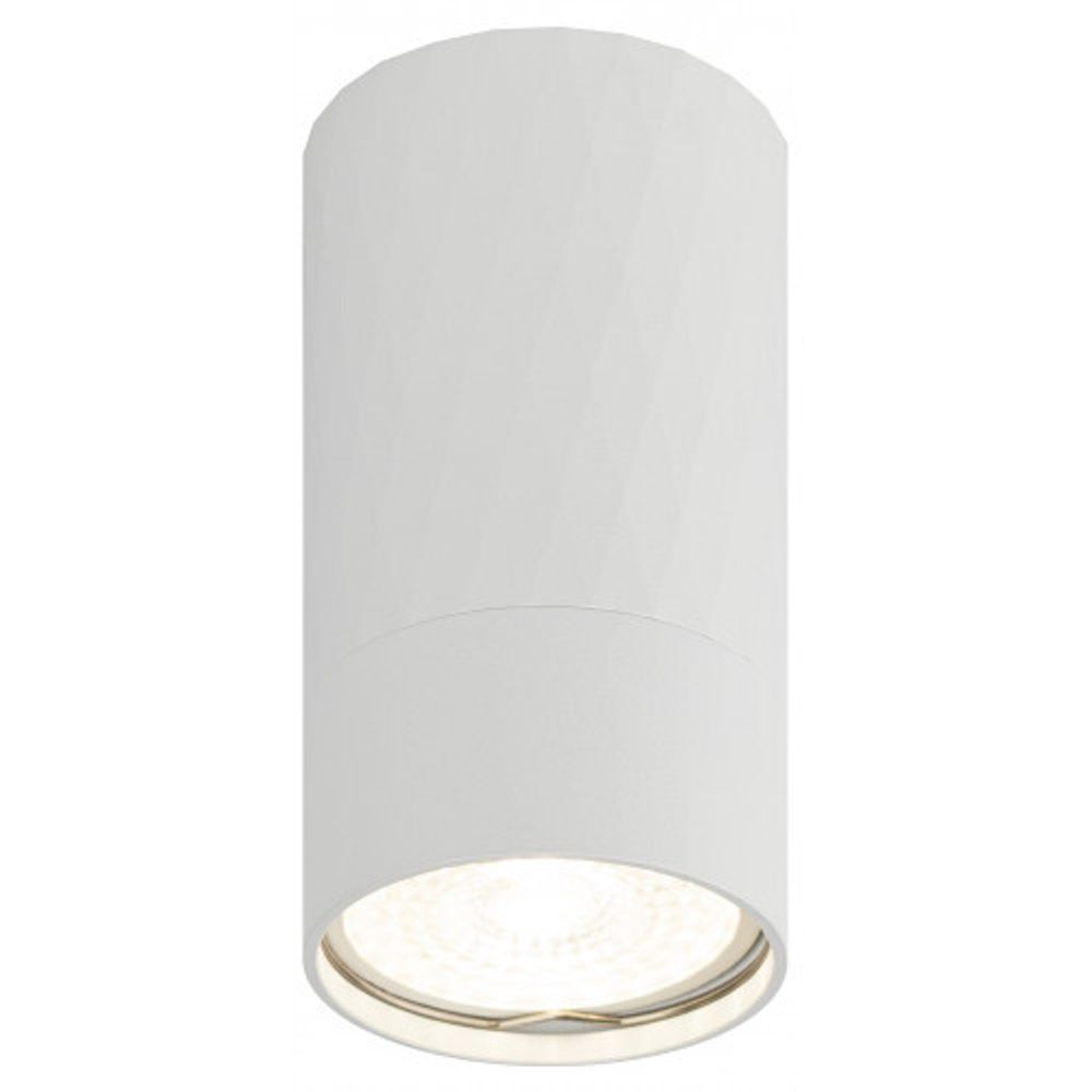 Светильник настенно-потолочный спот ЭРА OL31 WH MR16 GU10 IP20 белый