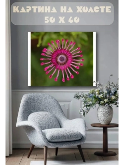 Картина на стену 40 X 50 Африканская ромашка