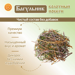 Багульник болотный побеги.