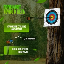 Лук cпортивный олимпик со стрелами 34 Lbs